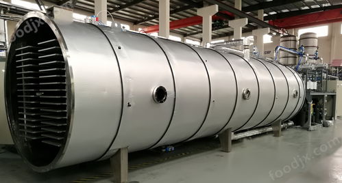 大型商用凍干機藥品果蔬食品真空冷凍干燥機