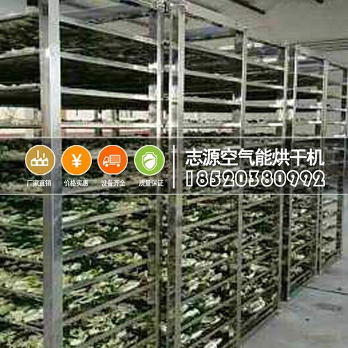 新一代熱泵果蔬烘干機(jī)的工作原理